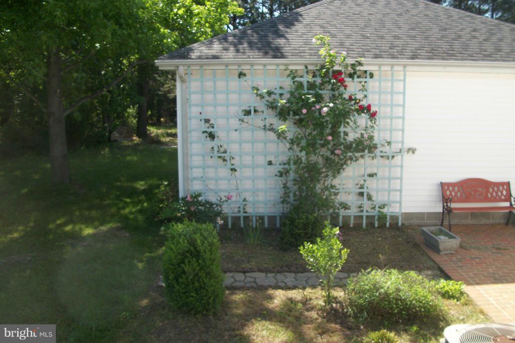 1007 Wagner Point Road Cambridge, MD 21613 - Photo 11 of 18 beautiful landscaping
