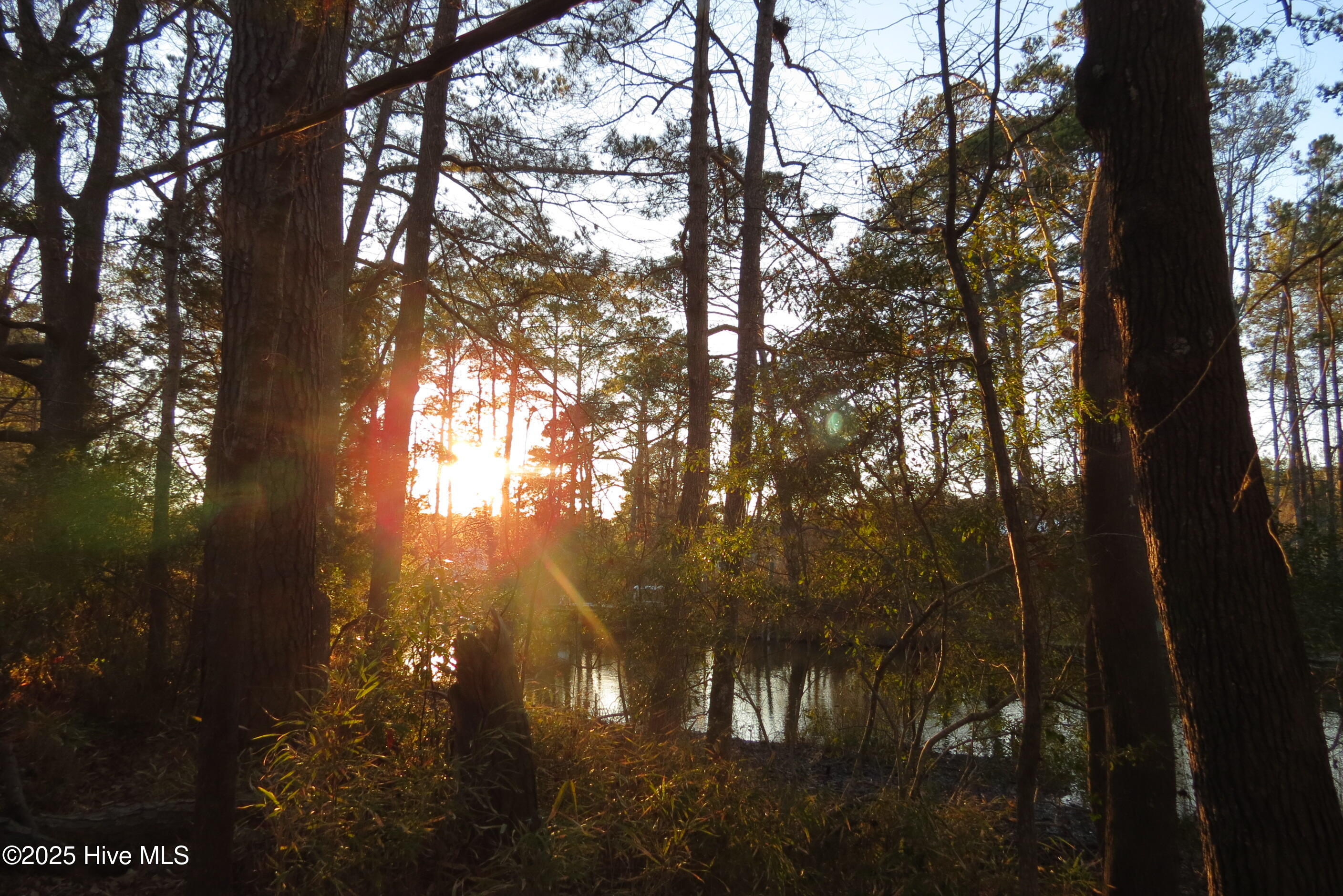 6009 Harbour Way Oriental, NC 28571 - Photo 23 of 42 IMG_0699