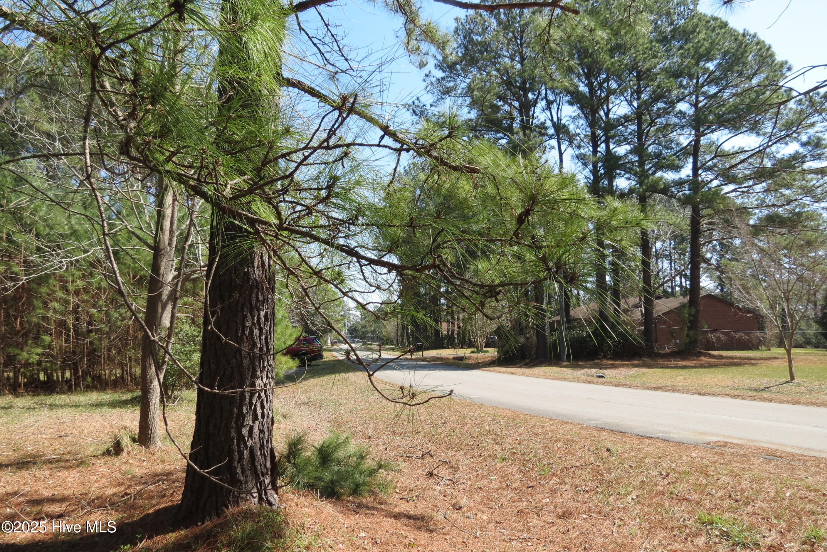 6009 Harbour Way Oriental, NC 28571 - Photo 25 of 42 IMG_0759