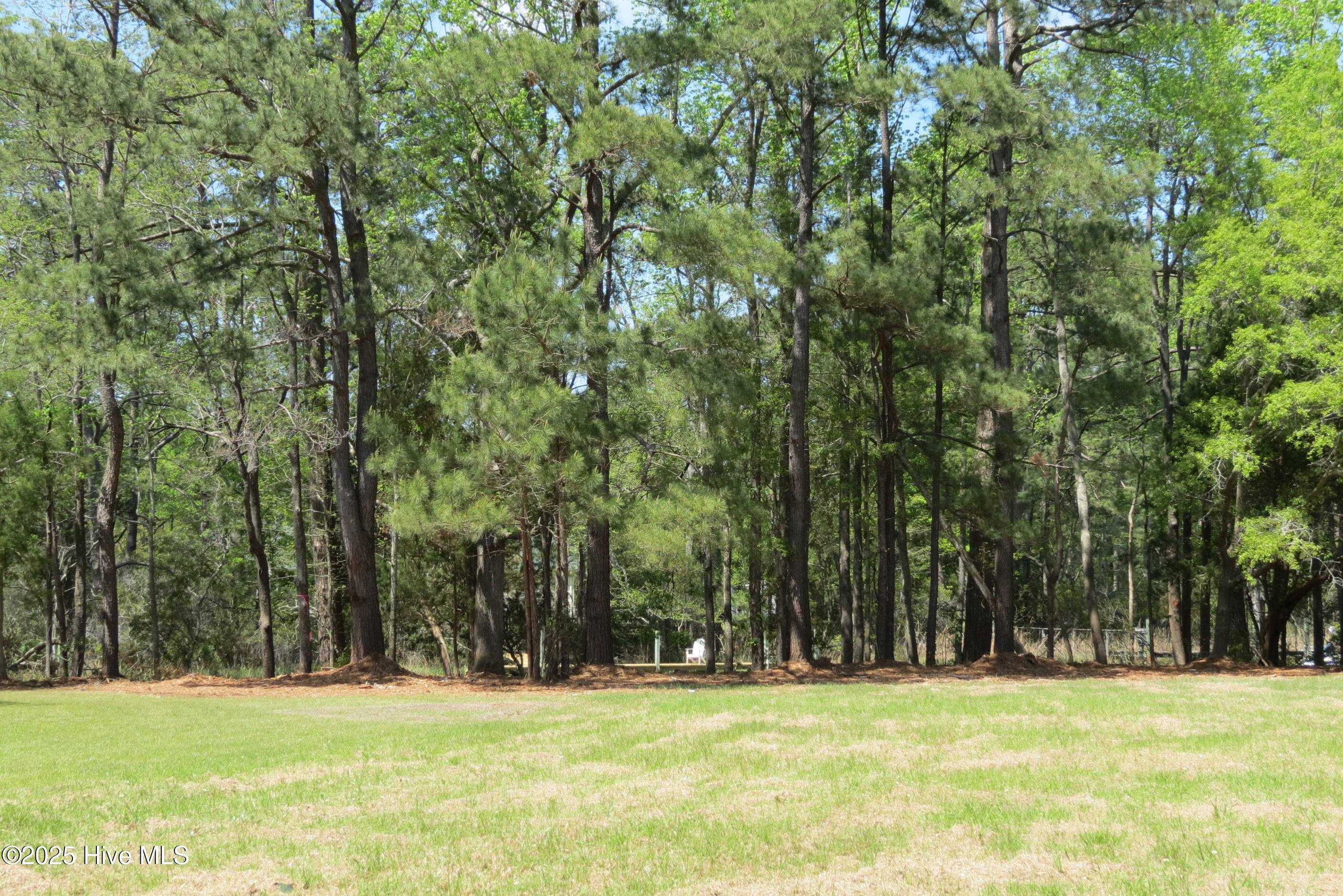 6009 Harbour Way Oriental, NC 28571 - Photo 31 of 42 IMG_1127