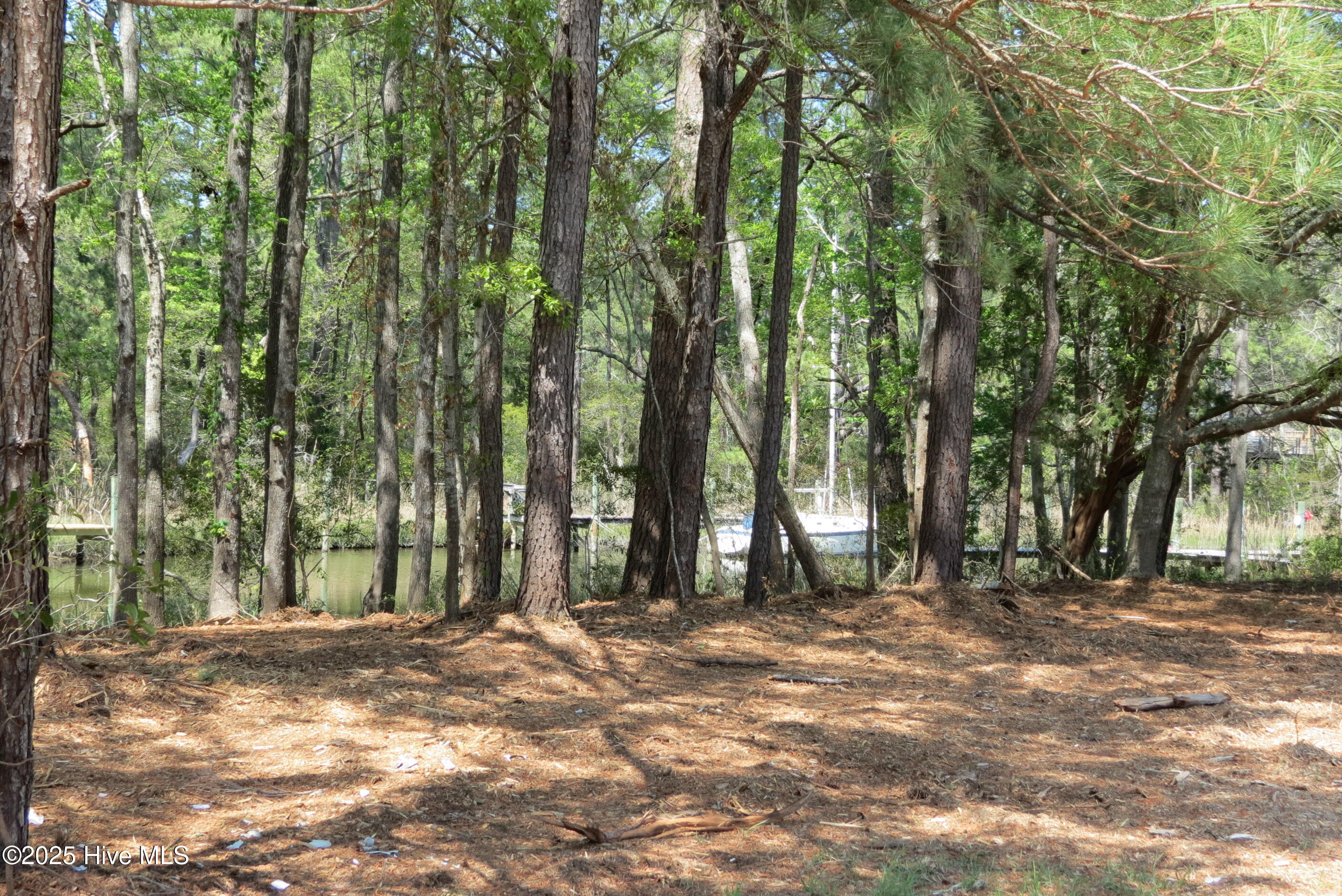 6009 Harbour Way Oriental, NC 28571 - Photo 33 of 42 IMG_1130