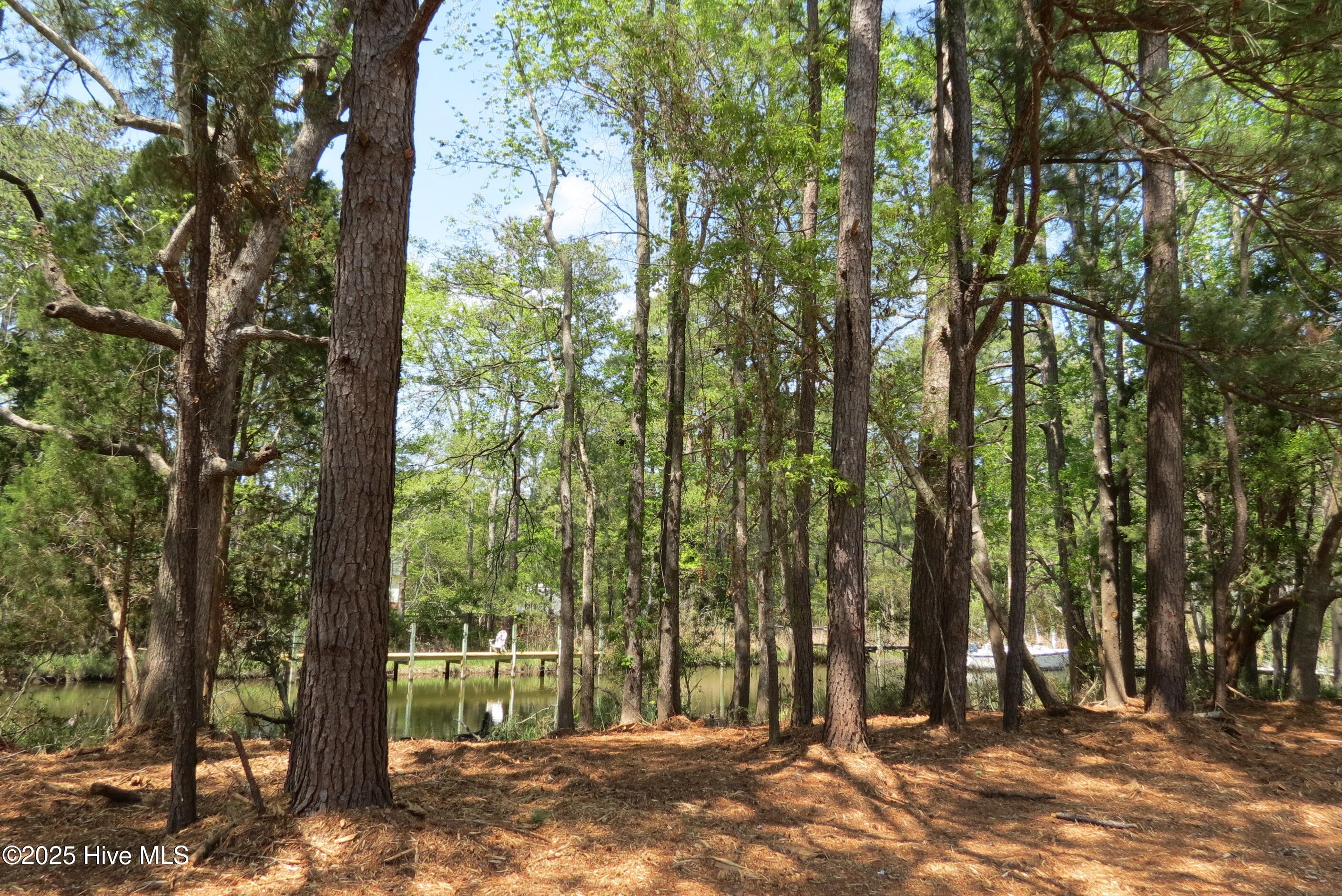 6009 Harbour Way Oriental, NC 28571 - Photo 34 of 42 IMG_1131