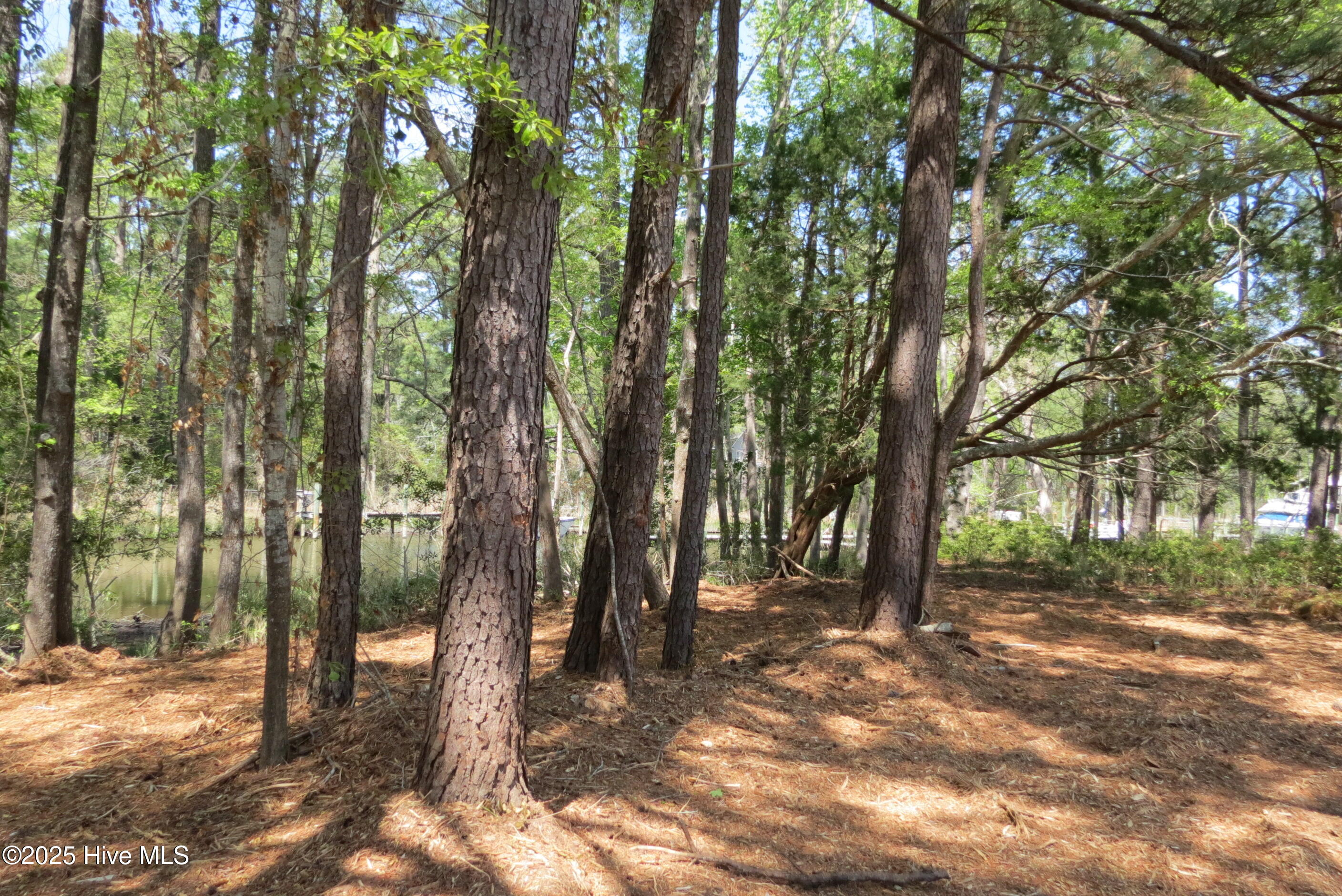 6009 Harbour Way Oriental, NC 28571 - Photo 36 of 42 IMG_1133