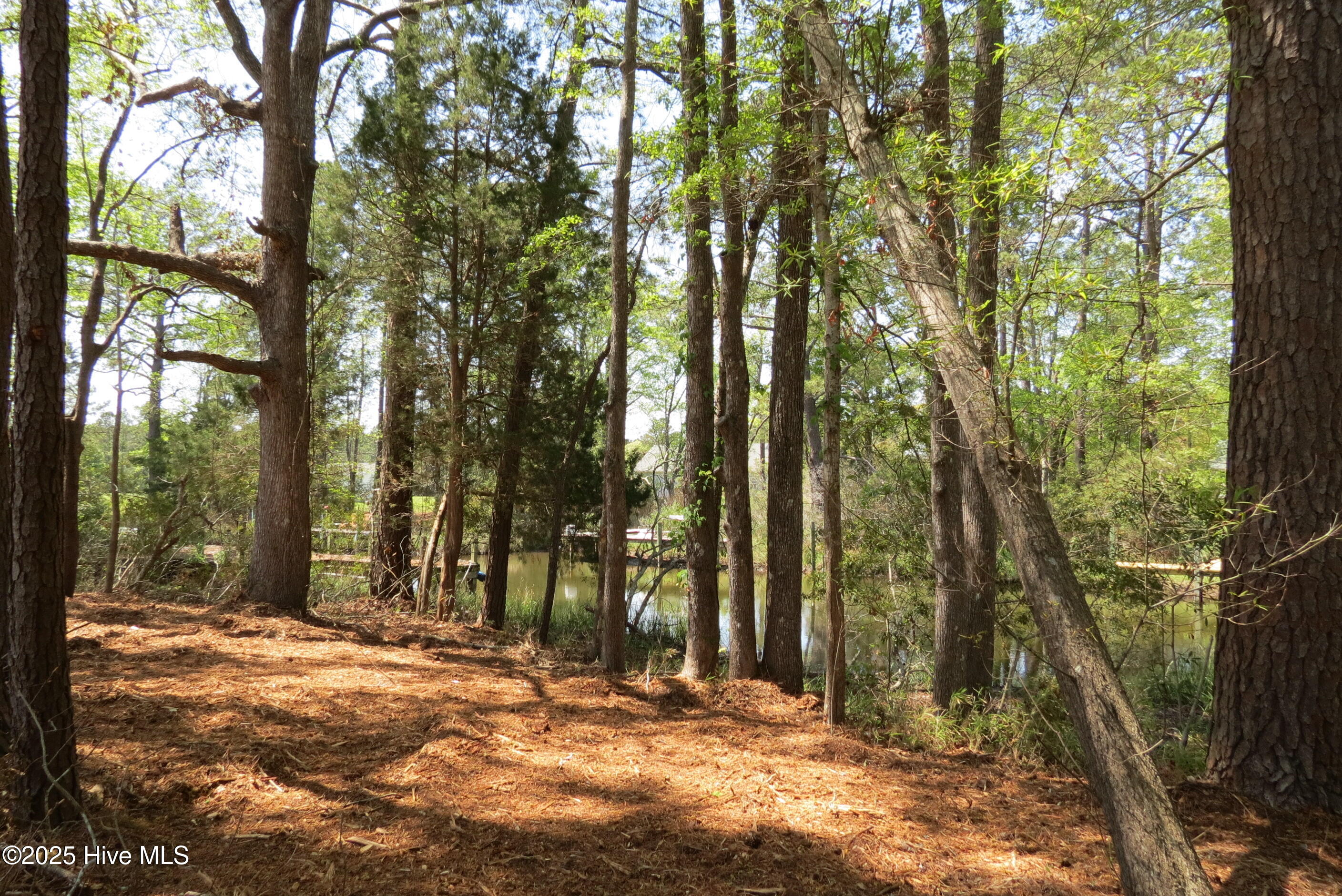 6009 Harbour Way Oriental, NC 28571 - Photo 37 of 42 IMG_1134