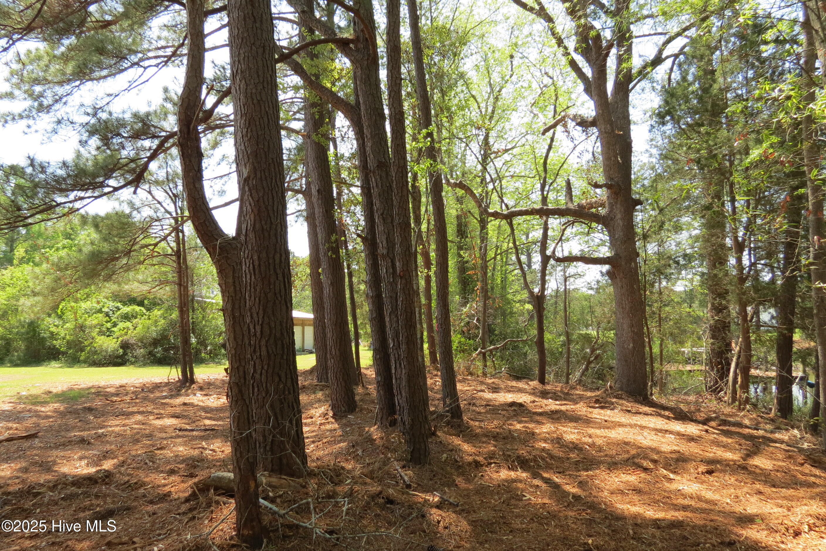 6009 Harbour Way Oriental, NC 28571 - Photo 39 of 42 IMG_1136