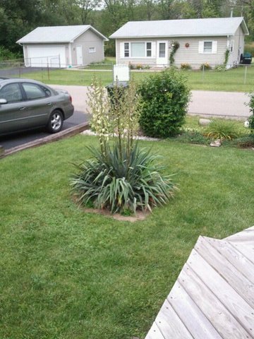 308 Venice Road Lakemoor, IL 60051 - Photo 20 of 20