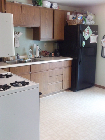 308 Venice Road Lakemoor, IL 60051 - Photo 4 of 20