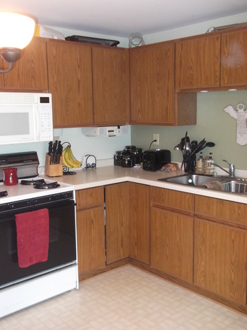 308 Venice Road Lakemoor, IL 60051 - Photo 5 of 20