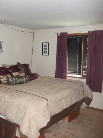 308 Venice Road Lakemoor, IL 60051 - Photo 7 of 20