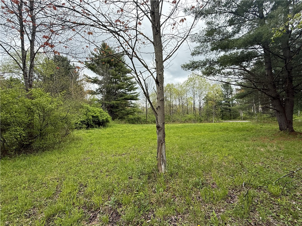 Caswell Road Freeville, NY 13068 - Photo 36 of 47