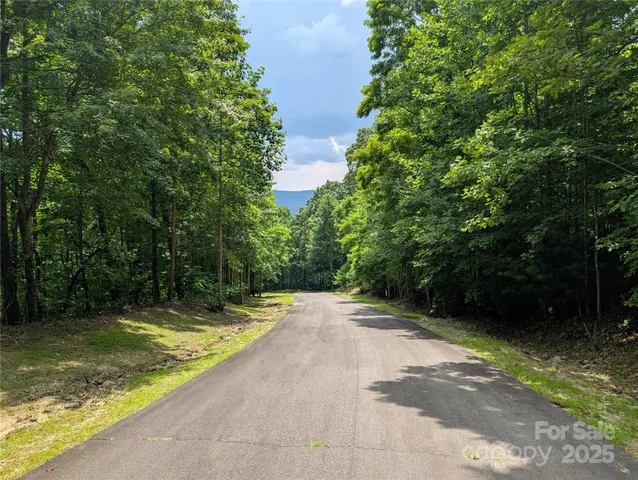 $7,999 | 115 Ivywood Lane, Laurel Park, NC 28739