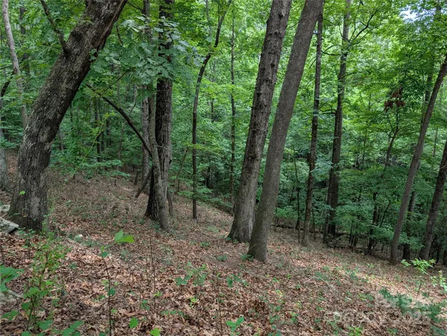 $7,999 | 115 Ivywood Lane, Laurel Park, NC 28739