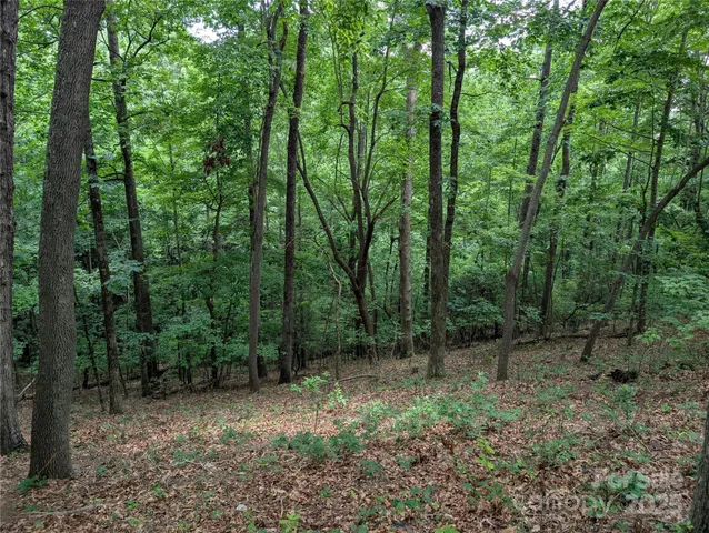 $7,999 | 115 Ivywood Lane, Laurel Park, NC 28739