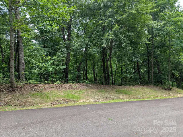 $7,999 | 115 Ivywood Lane, Laurel Park, NC 28739