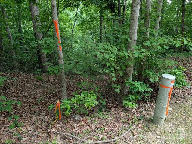 $7,999 | 115 Ivywood Lane, Laurel Park, NC 28739