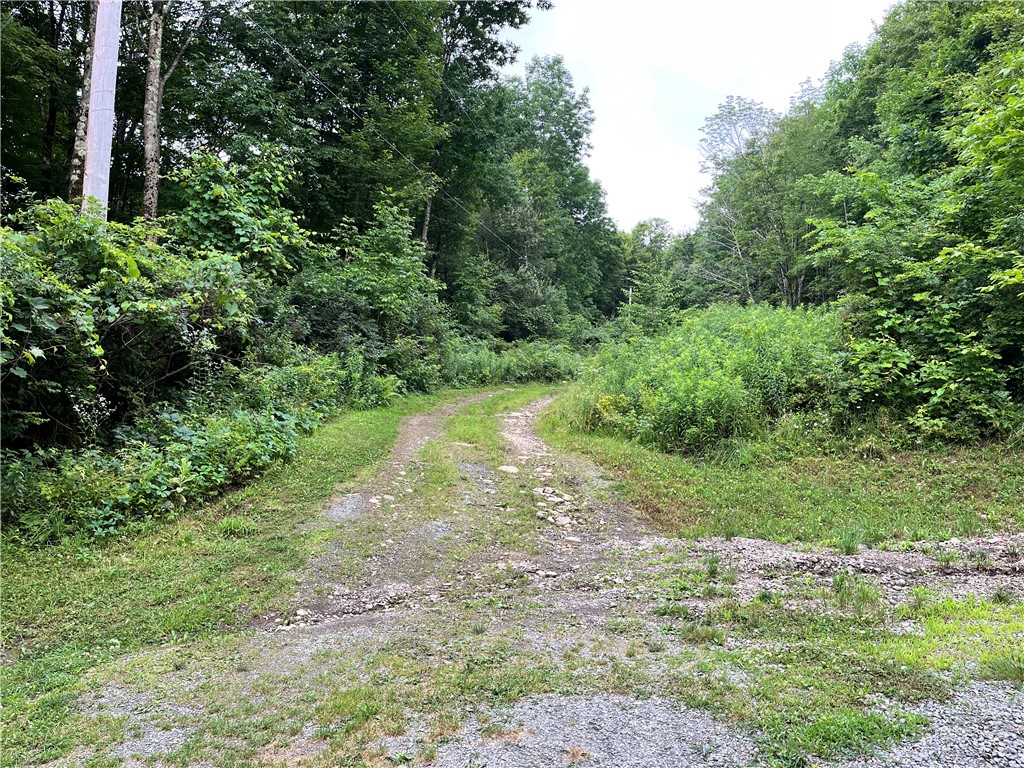 0 Marvin Hollow Road Walton, NY 13856 - Photo 1 of 22