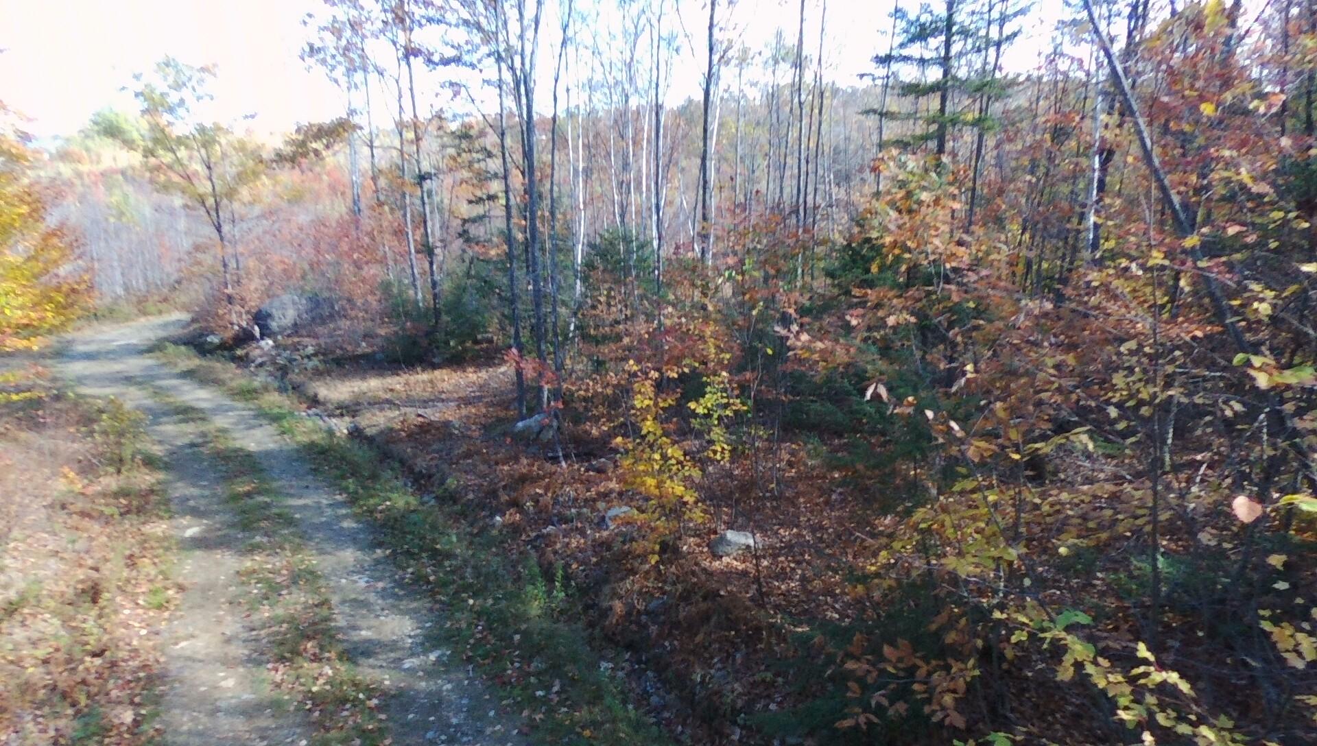 Tbd Lyle Hall Road Wilton, ME 04294 - Photo 9 of 15 BOGUE DRONE PICS 10-12-20 014