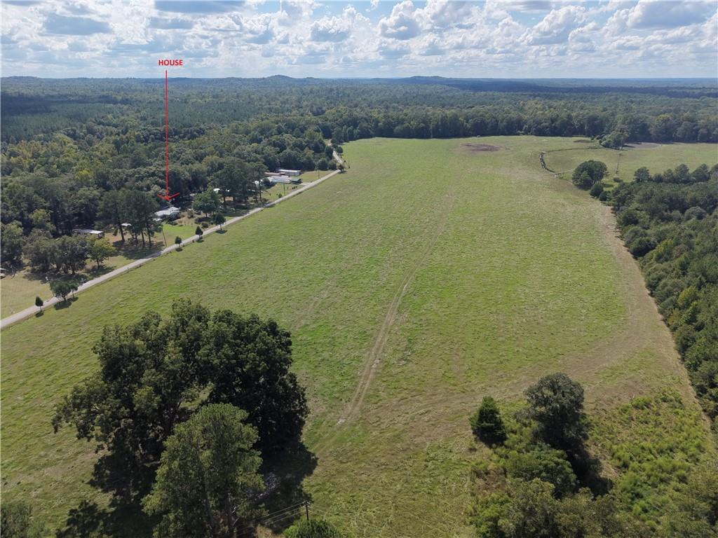 28 Southfork Road Eufaula, AL 36027 - Photo 5 of 20 Expansive green acreage bordered by natural tree lines