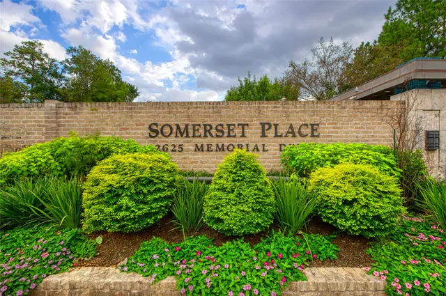 a view of a garden with plants