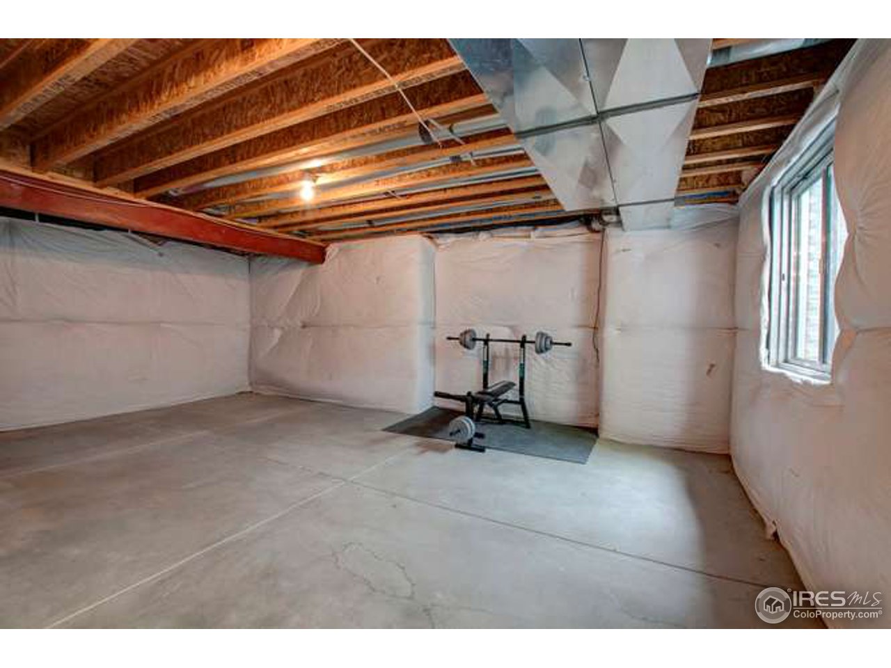 4202 Riley Drive Longmont, CO 80503 - Photo 20 of 25 basement