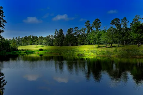 a view of a lake with a house in the background