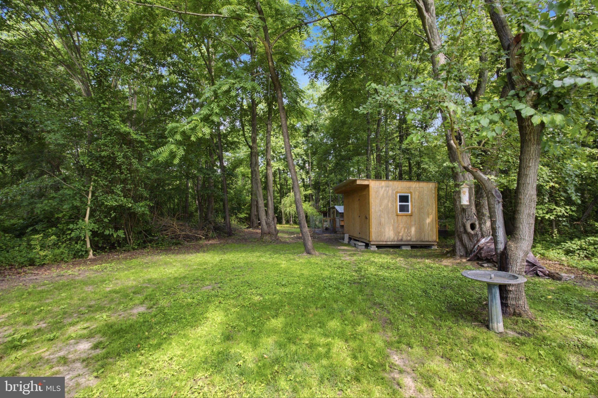 5650 Deale Churchton Road Churchton, MD 20733 - Photo 26 of 31 Serene woodland retreat awaits you.