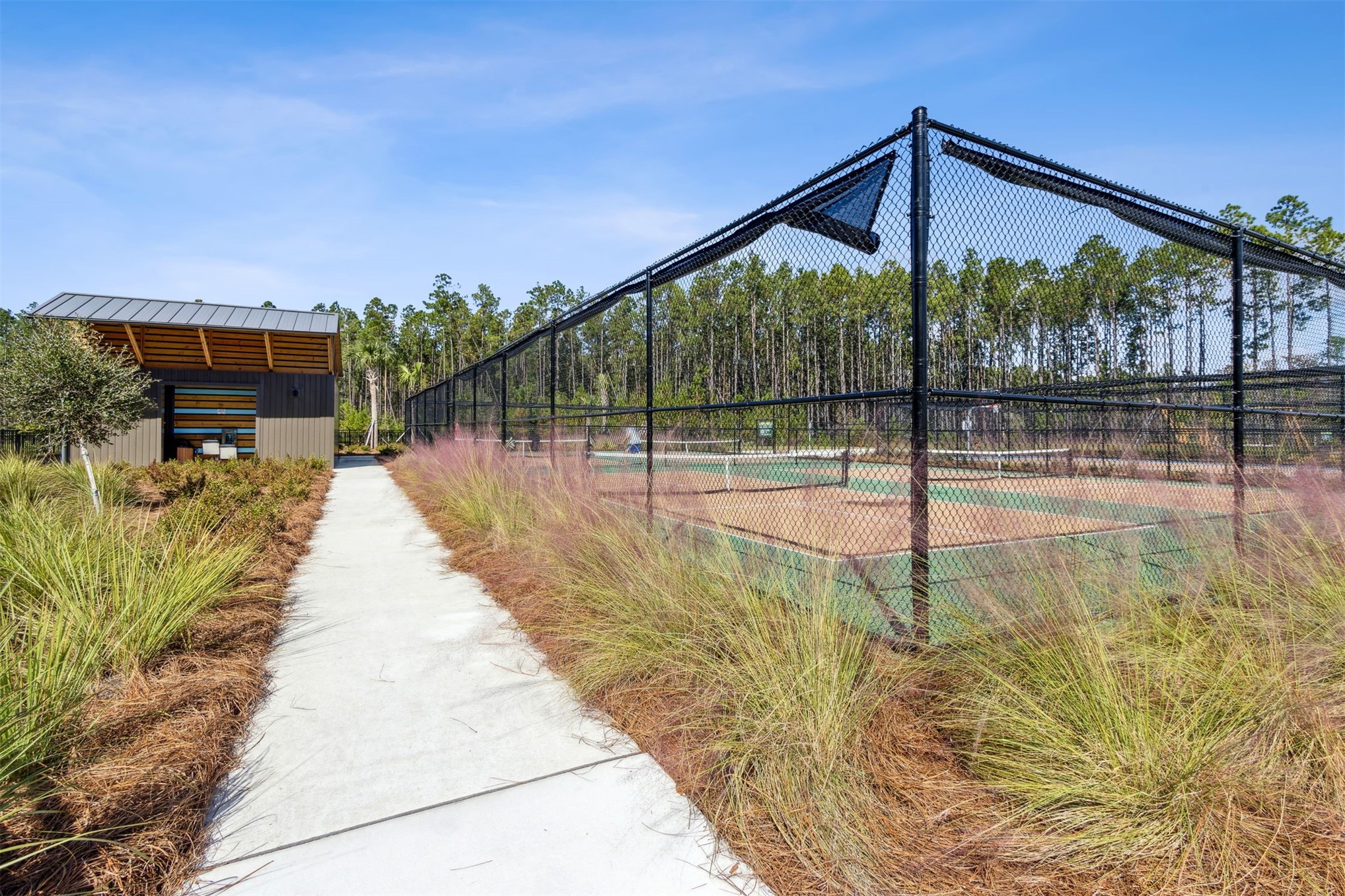 230 Wildlight Avenue Yulee, FL 32097 - Photo 65 of 73 a swimming pool with a yard