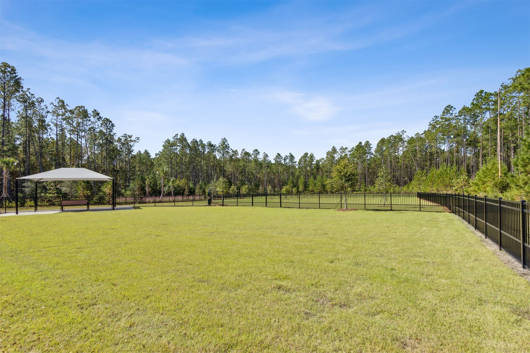 230 Wildlight Avenue Yulee, FL 32097 - Photo 66 of 73 a view of a lake with a yard