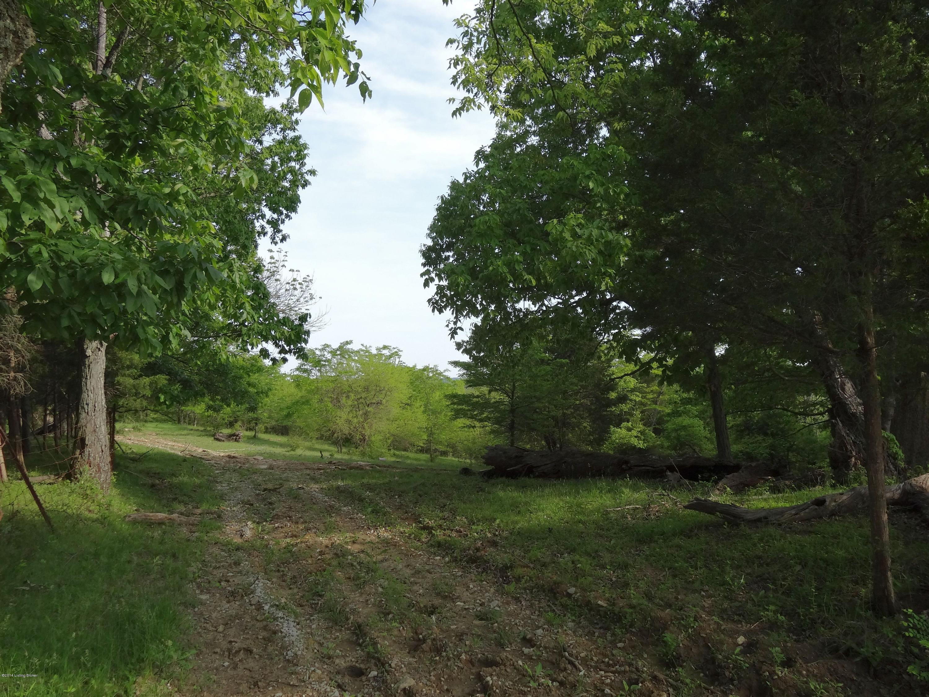 280 Pilcher Road Frankfort, KY 40601 - Photo 5 of 6 DSC02534