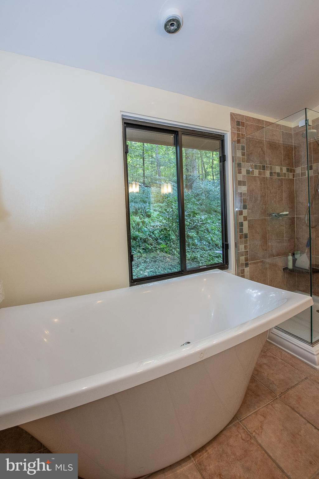 19 Paper Mill Road Newtown Square, PA 19073 - Photo 42 of 72 Separate, double soaking tub