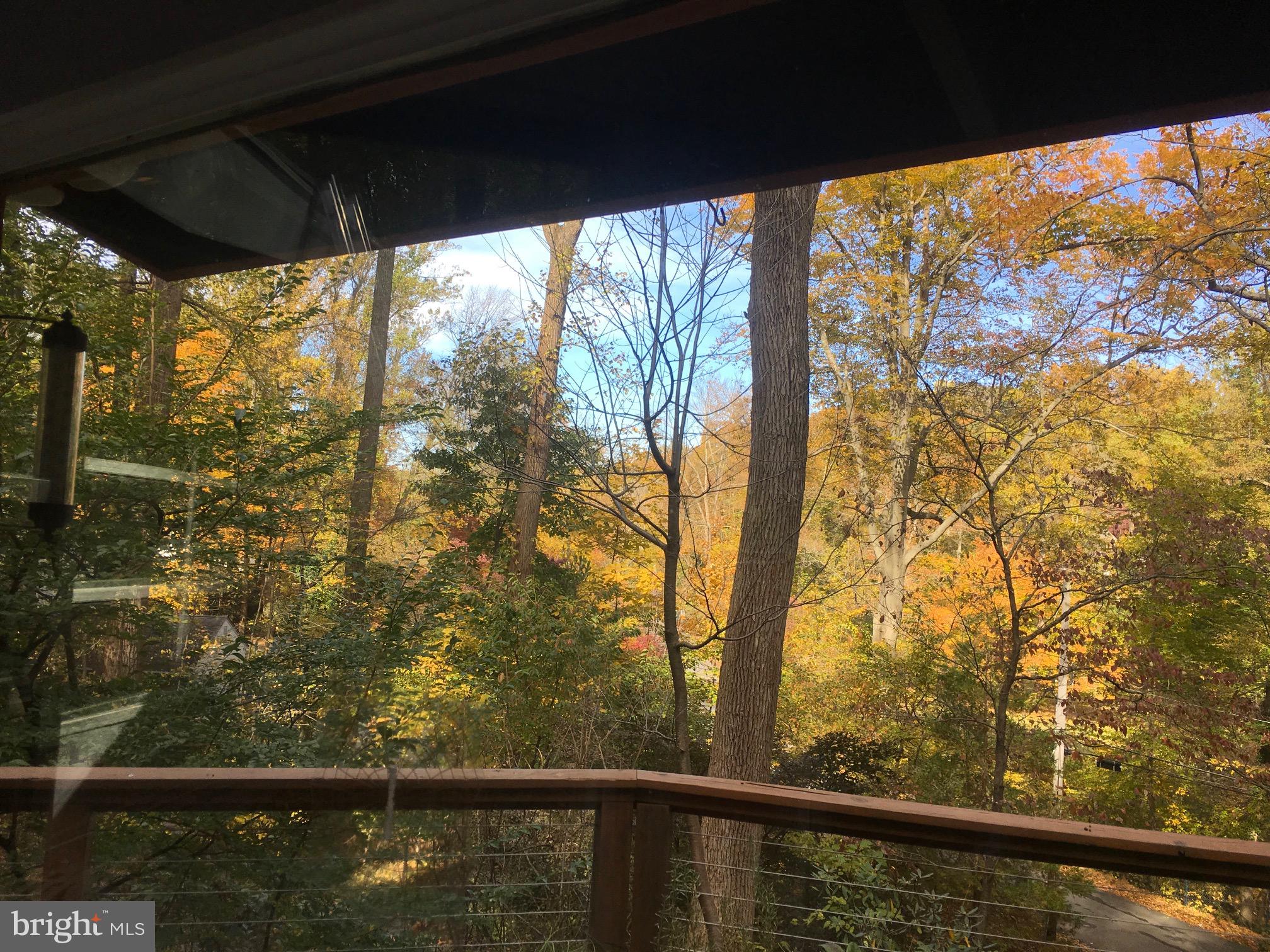 19 Paper Mill Road Newtown Square, PA 19073 - Photo 69 of 72 Stunning private vistas