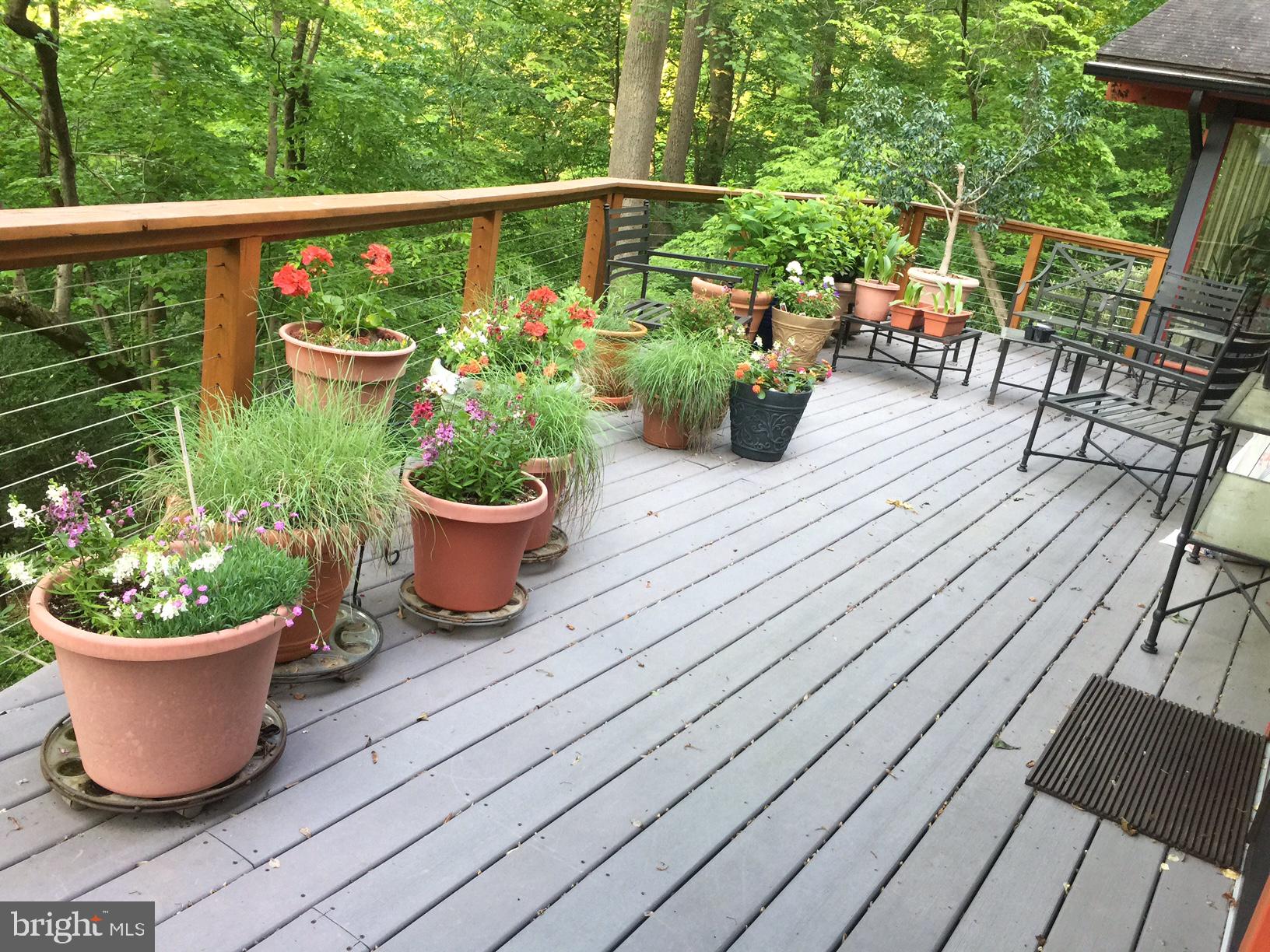 19 Paper Mill Road Newtown Square, PA 19073 - Photo 71 of 72 Total privacy