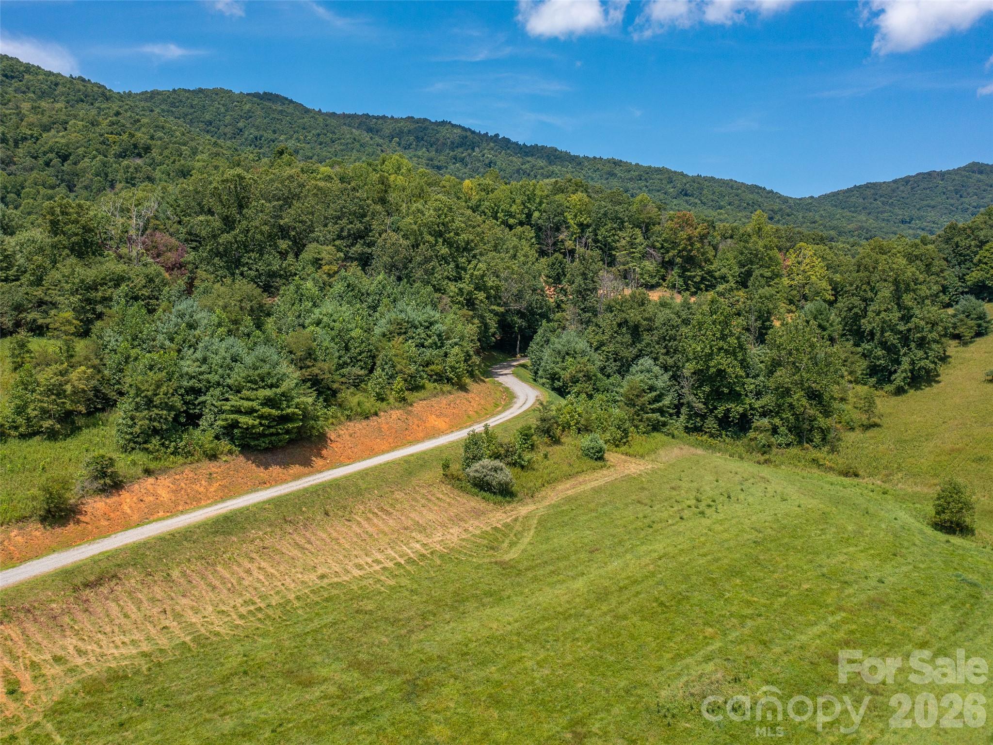 0 Locust Rough Mountain Road, Unit 5 Burnsville, NC 28714 - Photo 4 of 7