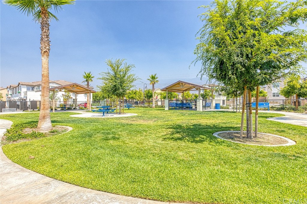 5603 Kate Way Fontana, CA 92336 - Photo 42 of 63 a swimming pool with lots of tress in front of it