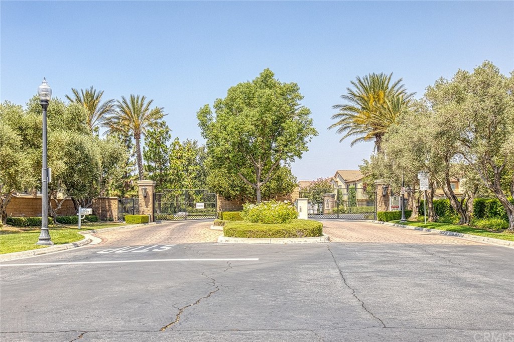 5603 Kate Way Fontana, CA 92336 - Photo 61 of 63 a view of a yard with palm trees