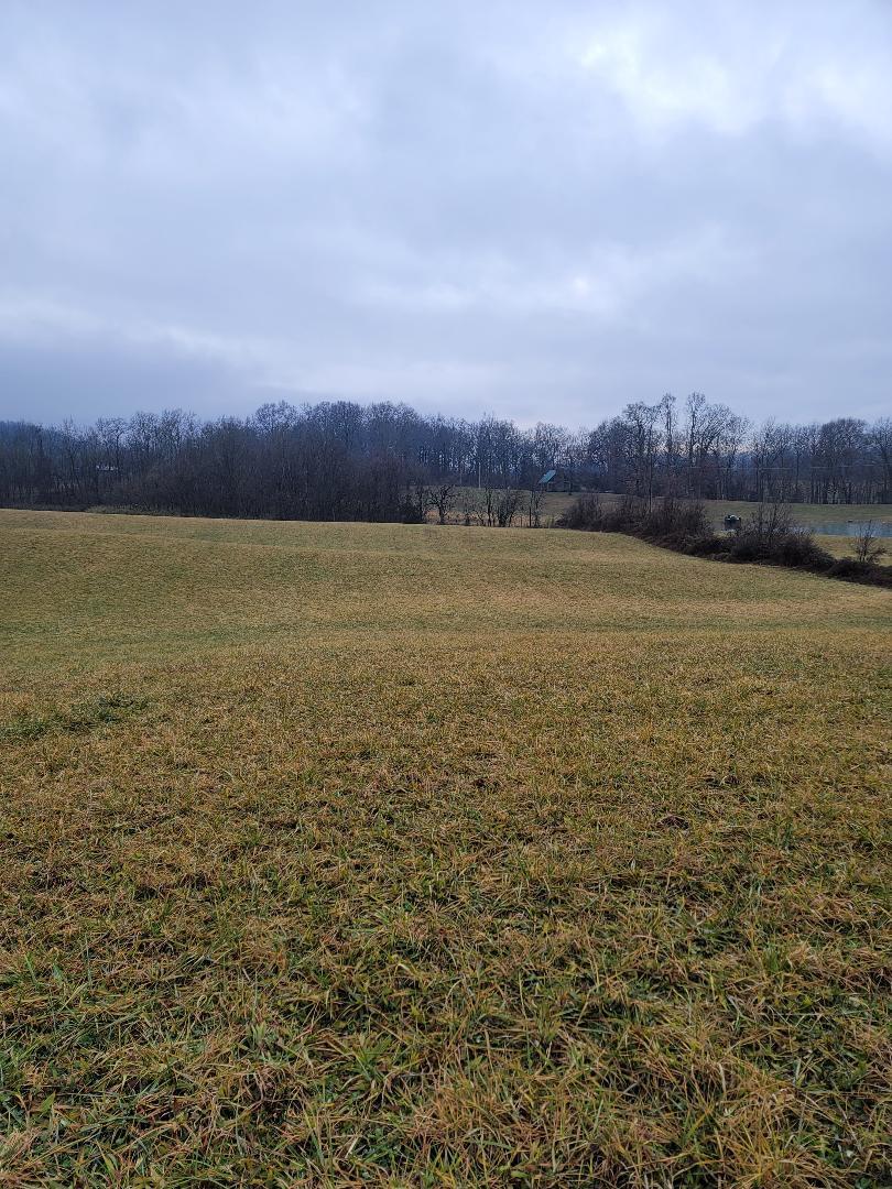 0 Bulldog Miller Road Jonesborough, TN 37659 - Photo 1 of 4 thumbnail (2)