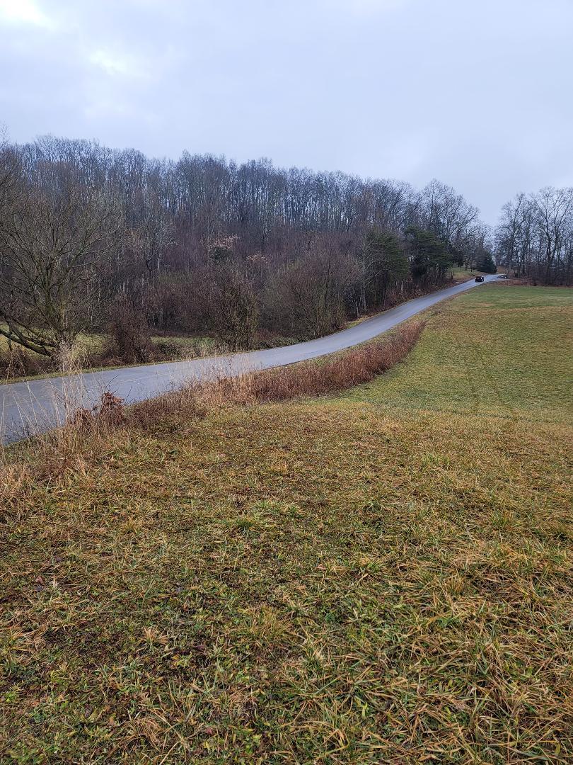 0 Bulldog Miller Road Jonesborough, TN 37659 - Photo 3 of 4 thumbnail (1)