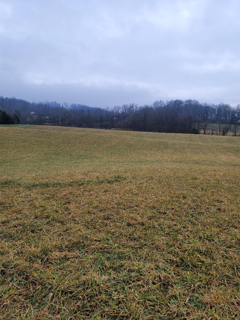 0 Bulldog Miller Road Jonesborough, TN 37659 - Photo 4 of 4 thumbnail