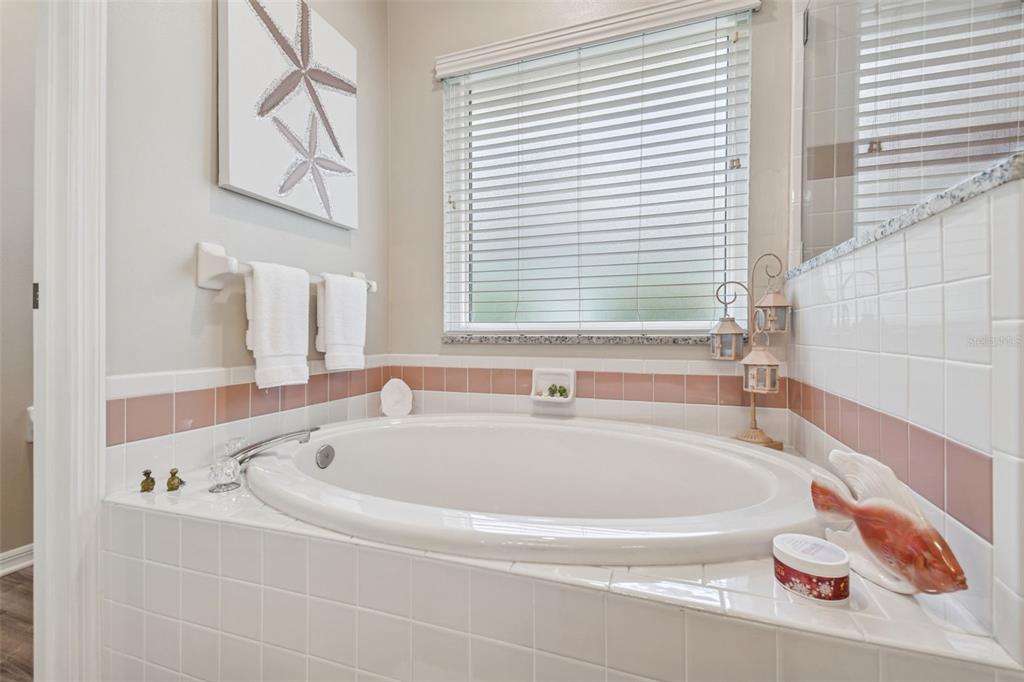 3216 Fox Squirrel Lane Valrico, FL 33596 - Photo 33 of 95 a white bath tub sitting next to a window