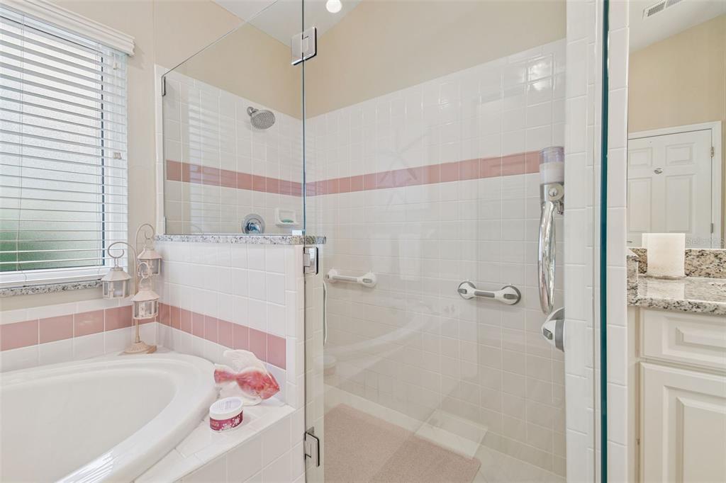 3216 Fox Squirrel Lane Valrico, FL 33596 - Photo 34 of 95 a bathroom with a bathtub and a shower