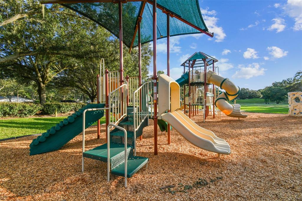 3216 Fox Squirrel Lane Valrico, FL 33596 - Photo 77 of 95