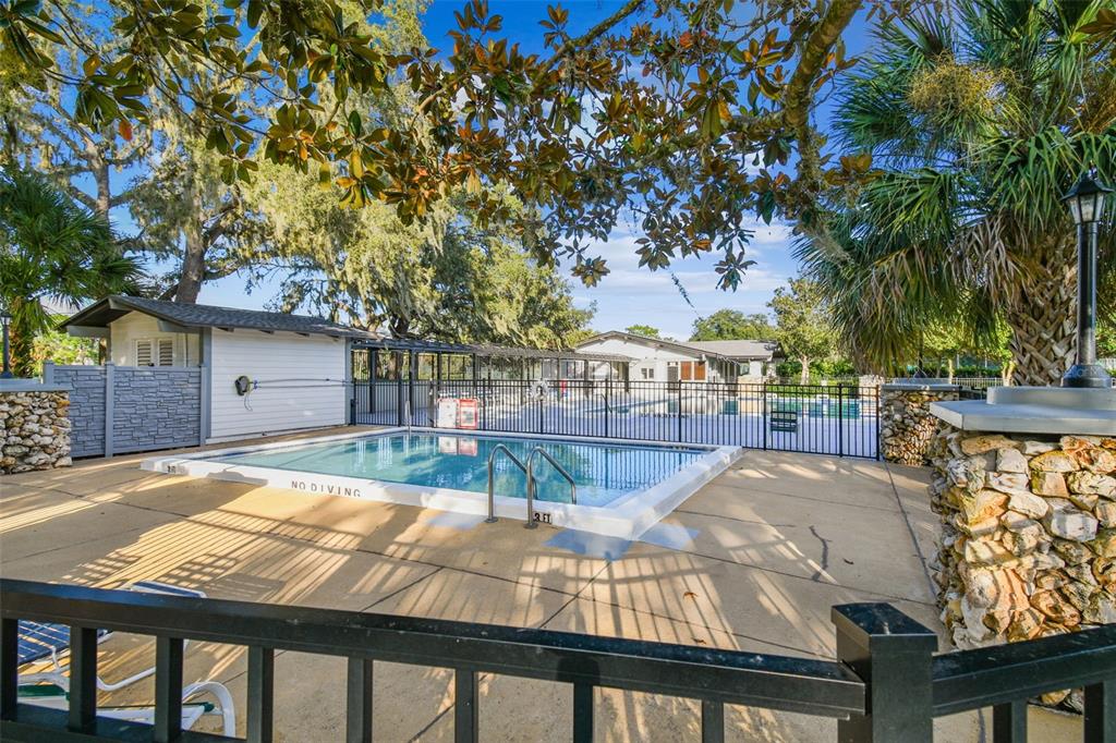 3216 Fox Squirrel Lane Valrico, FL 33596 - Photo 86 of 95 a view of swimming pool with a patio