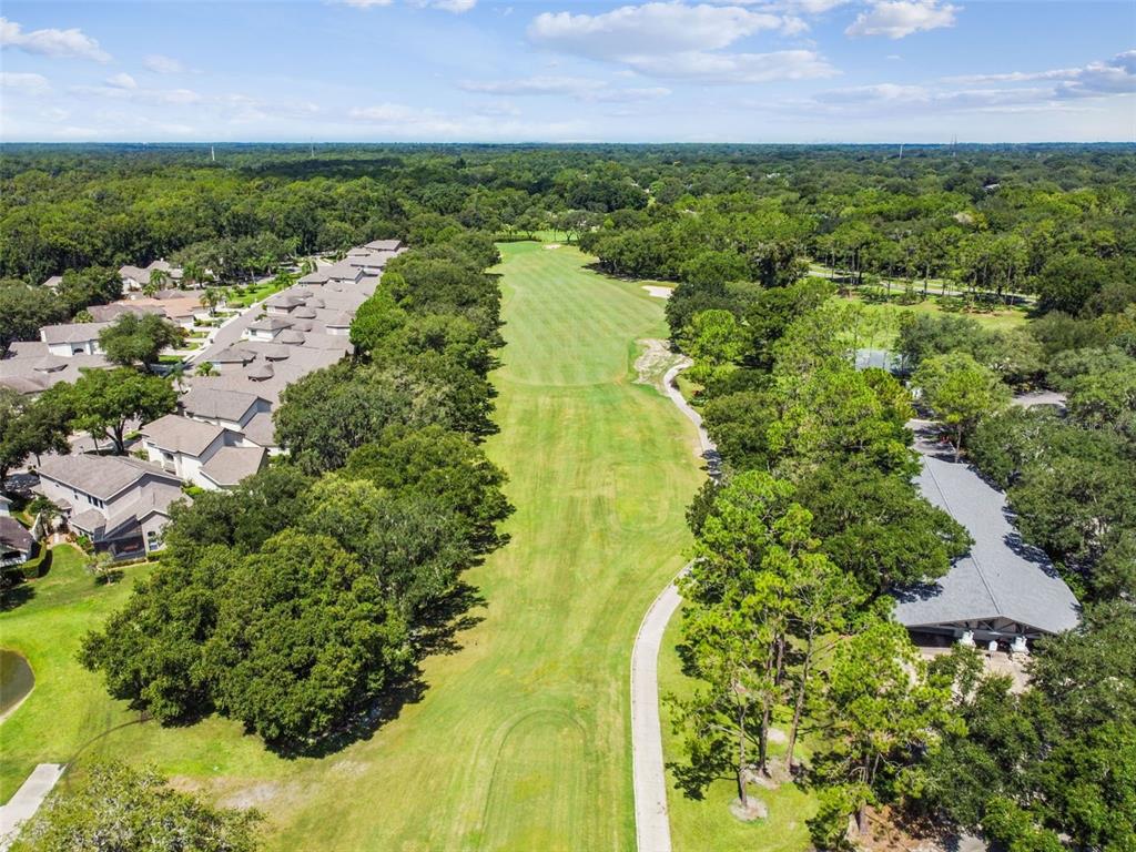 3216 Fox Squirrel Lane Valrico, FL 33596 - Photo 87 of 95