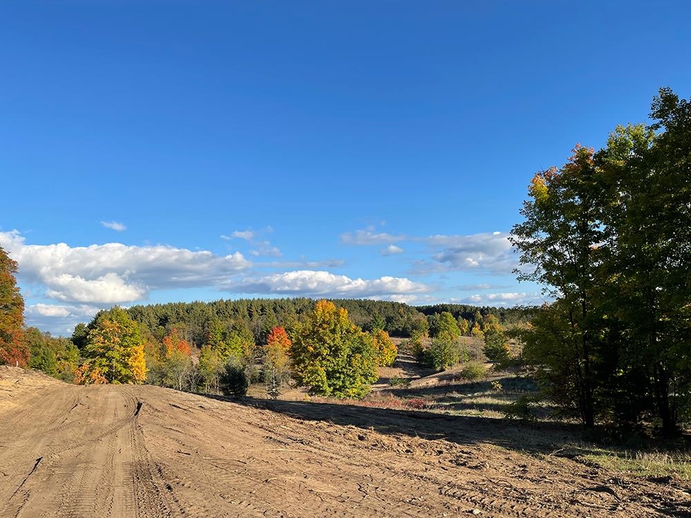 5028 Paradise Ranch Road, Unit LOT 1 Kingsley, MI 49649 - Photo 5 of 33