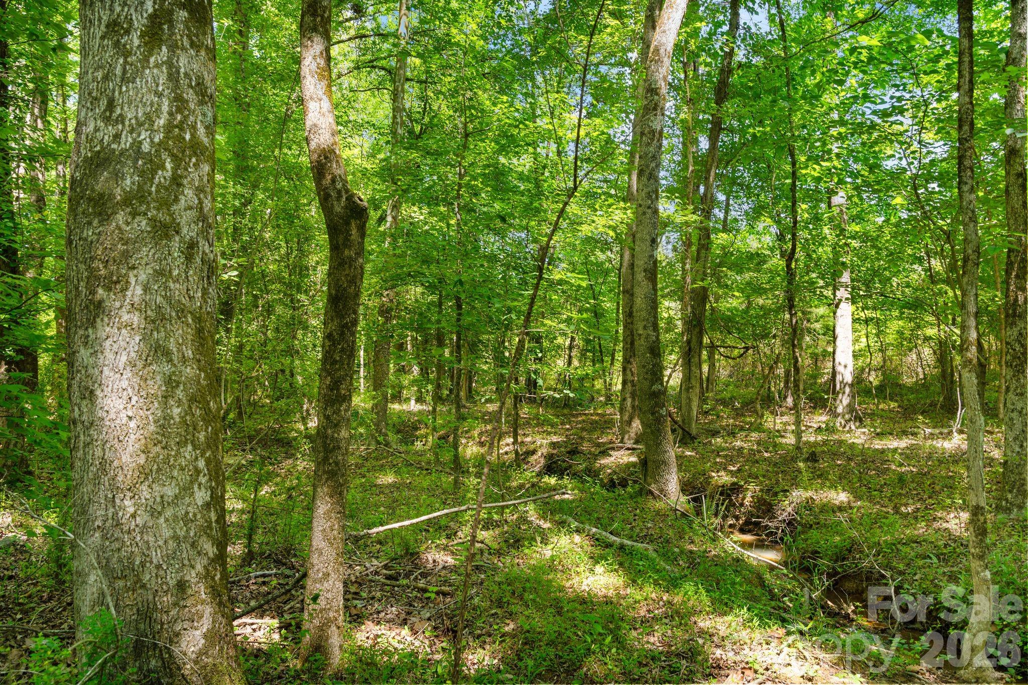 0 Cool Branch Road, Unit 5 Carlisle, SC 29031 - Photo 24 of 47