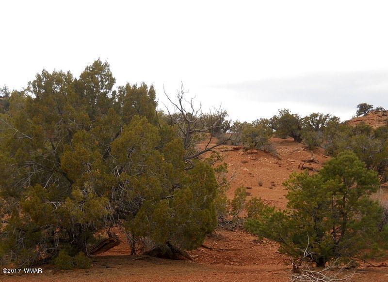 3732 Damron Valley Road Snowflake, AZ 85937 - Photo 15 of 26