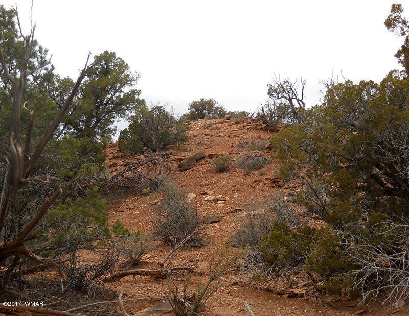 3732 Damron Valley Road Snowflake, AZ 85937 - Photo 17 of 26
