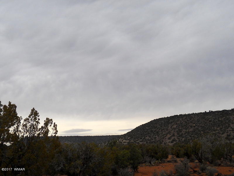 3732 Damron Valley Road Snowflake, AZ 85937 - Photo 2 of 26