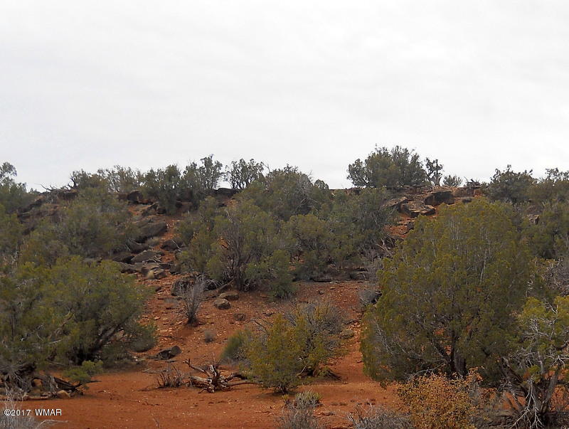 3732 Damron Valley Road Snowflake, AZ 85937 - Photo 23 of 26