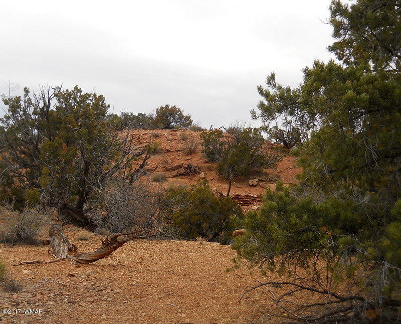 3732 Damron Valley Road Snowflake, AZ 85937 - Photo 26 of 26